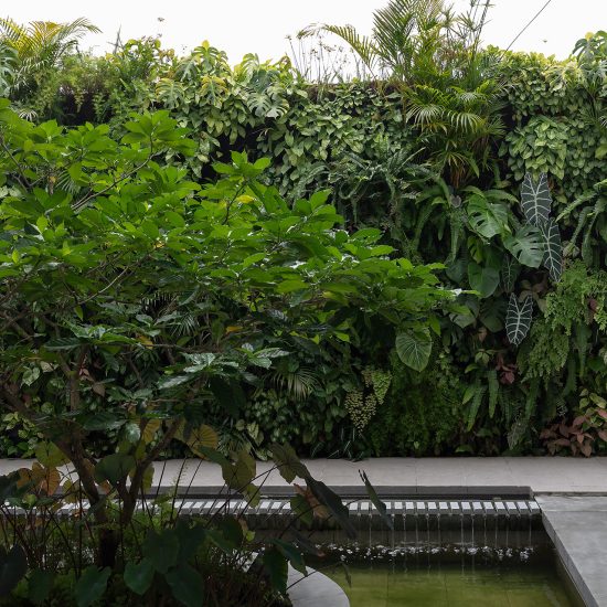 Casa PV | Intemperie Studio | JAG Studio